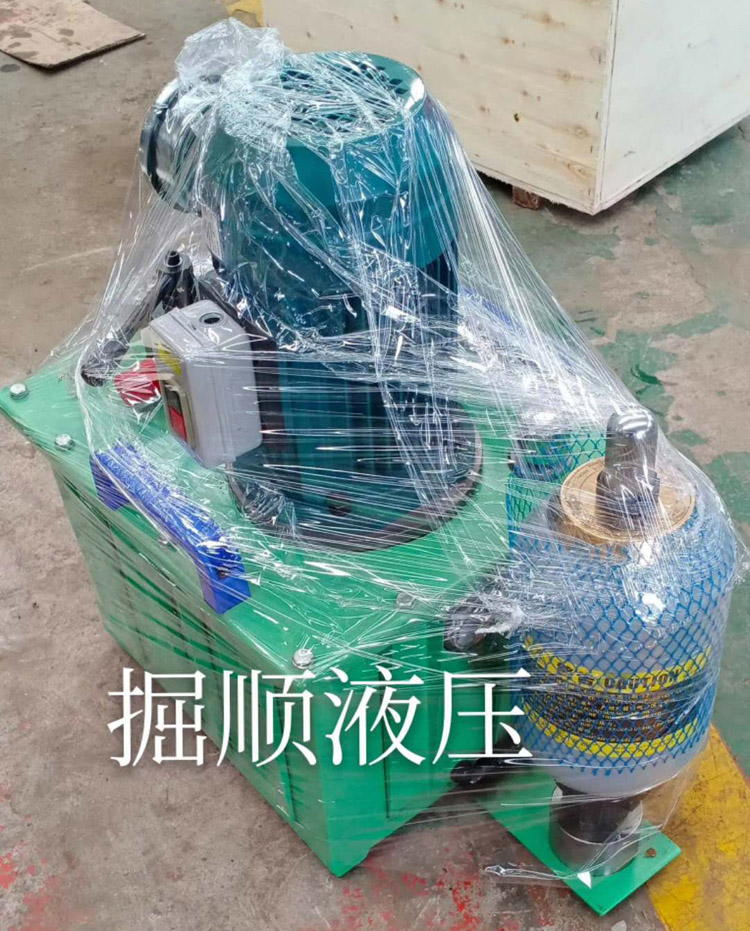 電動(dòng)液壓泵發(fā)貨陜西促生長